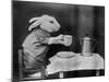 Bunny Coffee Break-null-Mounted Premium Photographic Print