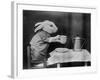 Bunny Coffee Break-null-Framed Photographic Print