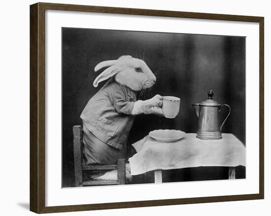 Bunny Coffee Break-null-Framed Photographic Print