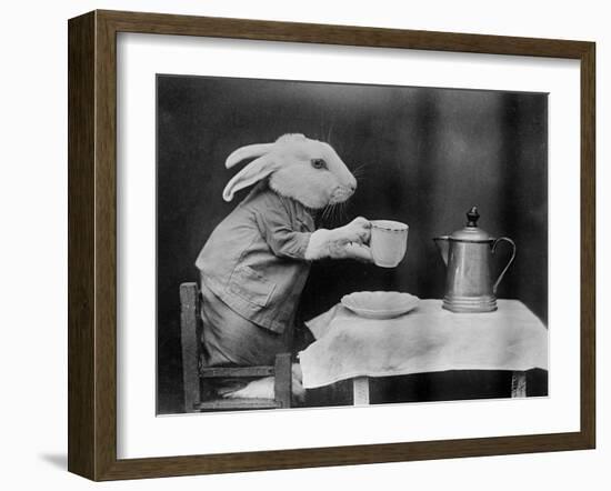 Bunny Coffee Break-null-Framed Photographic Print