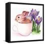 Bunny Crossing I-Jennifer Parker-Framed Stretched Canvas