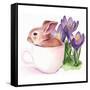 Bunny Crossing I-Jennifer Parker-Framed Stretched Canvas