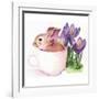 Bunny Crossing I-Jennifer Parker-Framed Art Print