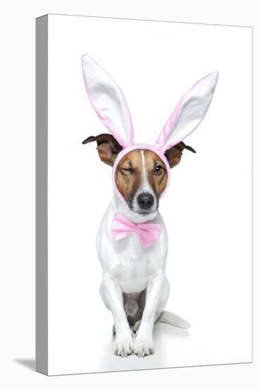 Bunny Dog Easter-Javier Brosch-Stretched Canvas