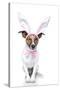 Bunny Dog Easter-Javier Brosch-Stretched Canvas