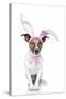 Bunny Dog Easter-Javier Brosch-Stretched Canvas