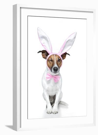 Bunny Dog Easter-Javier Brosch-Framed Photographic Print