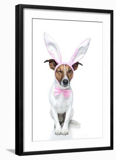 Bunny Dog Easter-Javier Brosch-Framed Photographic Print