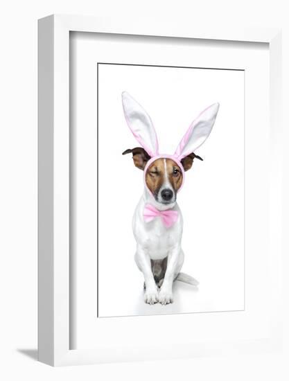 Bunny Dog Easter-Javier Brosch-Framed Photographic Print