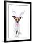 Bunny Dog Easter-Javier Brosch-Framed Photographic Print