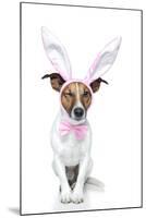 Bunny Dog Easter-Javier Brosch-Mounted Photographic Print