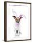 Bunny Dog Easter-Javier Brosch-Framed Photographic Print