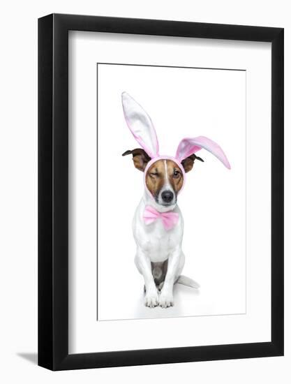 Bunny Dog Easter-Javier Brosch-Framed Photographic Print