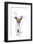 Bunny Dog Easter-Javier Brosch-Framed Photographic Print