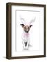 Bunny Dog Easter-Javier Brosch-Framed Photographic Print