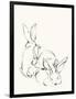 Bunny Group 2-Katie Todaro-Framed Premium Giclee Print