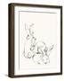 Bunny Group 2-Katie Todaro-Framed Giclee Print