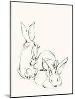 Bunny Group 2-Katie Todaro-Mounted Giclee Print