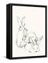 Bunny Group 2-Katie Todaro-Framed Stretched Canvas