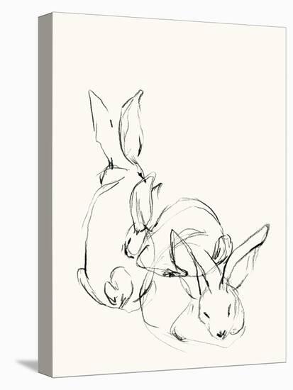 Bunny Group 2-Katie Todaro-Stretched Canvas