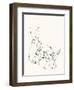 Bunny Group 2-Katie Todaro-Framed Premium Giclee Print