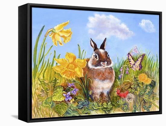 Bunny in Meadow-Judy Mastrangelo-Framed Stretched Canvas