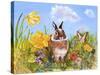 Bunny in Meadow-Judy Mastrangelo-Stretched Canvas