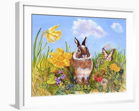 Bunny in Meadow-Judy Mastrangelo-Framed Giclee Print