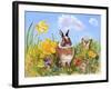 Bunny in Meadow-Judy Mastrangelo-Framed Giclee Print