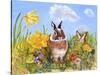 Bunny in Meadow-Judy Mastrangelo-Stretched Canvas