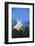 Bunny Peeking over a Fence-DLILLC-Framed Photographic Print