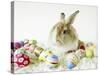 Bunny Rabbit Sitting Among Easter Eggs-null-Stretched Canvas