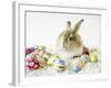 Bunny Rabbit Sitting Among Easter Eggs-null-Framed Photographic Print