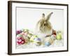 Bunny Rabbit Sitting Among Easter Eggs-null-Framed Photographic Print