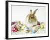 Bunny Rabbit Sitting Among Easter Eggs-null-Framed Photographic Print