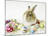 Bunny Rabbit Sitting Among Easter Eggs-null-Mounted Photographic Print