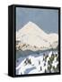 Bunny Slopes II-Jacob Green-Framed Stretched Canvas