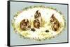 Bunny Tales-Peggy Harris-Framed Stretched Canvas