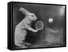 Bunny Tennis-null-Framed Stretched Canvas