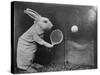 Bunny Tennis-null-Stretched Canvas