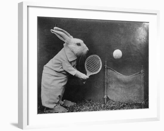 Bunny Tennis-null-Framed Photographic Print
