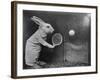 Bunny Tennis-null-Framed Photographic Print