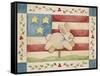 Bunny with Flag Background-Debbie McMaster-Framed Stretched Canvas