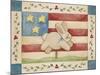 Bunny with Flag Background-Debbie McMaster-Mounted Giclee Print