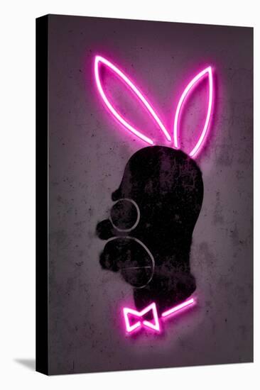 Bunny-Octavian Mielu-Stretched Canvas