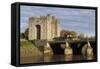 Bunratty Castle, County Clare, Munster, Republic of Ireland, Europe-Richard Cummins-Framed Stretched Canvas