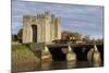 Bunratty Castle, County Clare, Munster, Republic of Ireland, Europe-Richard Cummins-Mounted Photographic Print