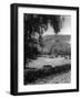 Bunster Hill-null-Framed Photographic Print