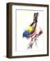 Bunting Bird-CanotStop-Framed Art Print