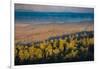 Bunya Mountains National Park, Queensland, Australia-Mark A Johnson-Framed Photographic Print